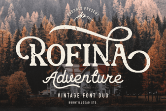 Rofina Font: Creative Uses & Download Information